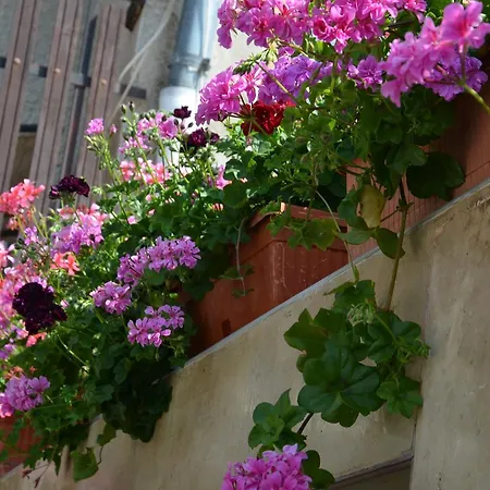 Villa Rosi Sosopol