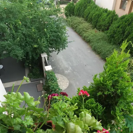 罗西别墅 索佐波尔